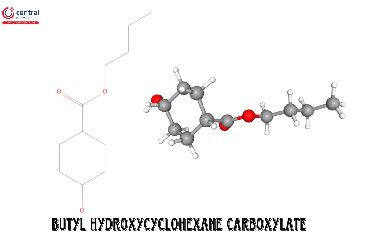 Cấu tạo của Butyl-Hydroxycyclohexane-Carboxylate-