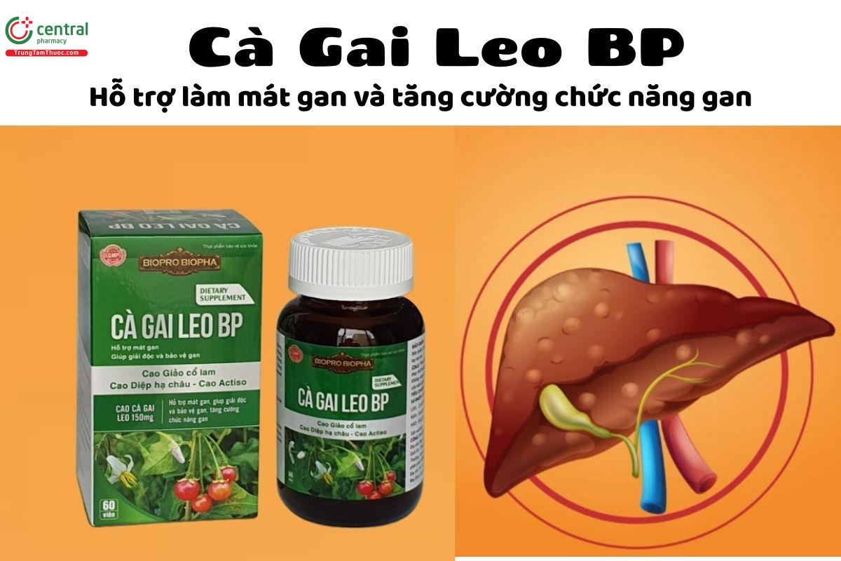 Cà Gai Leo BP - Hỗ trợ làm mát gan và tăng cường chức năng gan