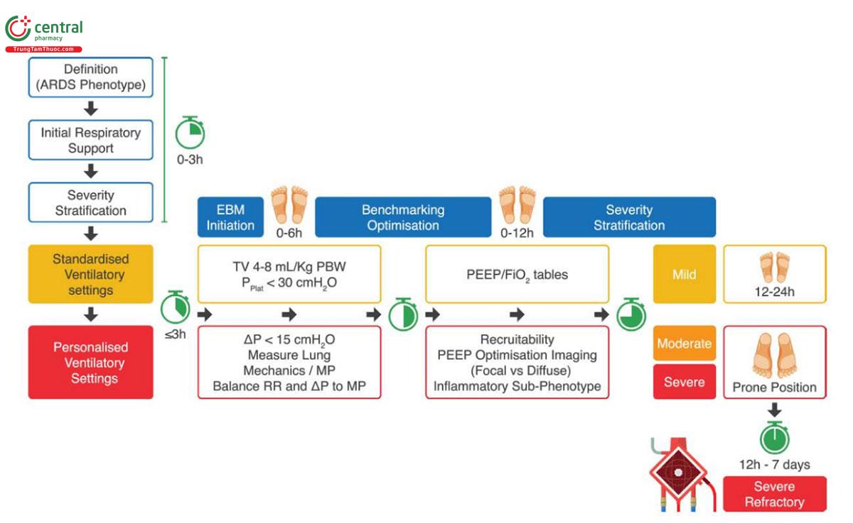 Hình 1 Khung thời gian và trình tự trong xử trí ARDS. ARDS: Hội chứng suy hô hấp cấp tỉnh, DP: áp lực đẩy, EBM: y học dựa trên bằng chứng, FiO2: nồng độ oxy khí hít vào, MP: công suất cơ học, PBW: trọng lượng cơ thể dự đoán, PEEP: áp lực dương cuối thì thở ra, Pplat: áp lực cao nguyên, RR: nhịp thở, TV: thể tích khí lưu thông