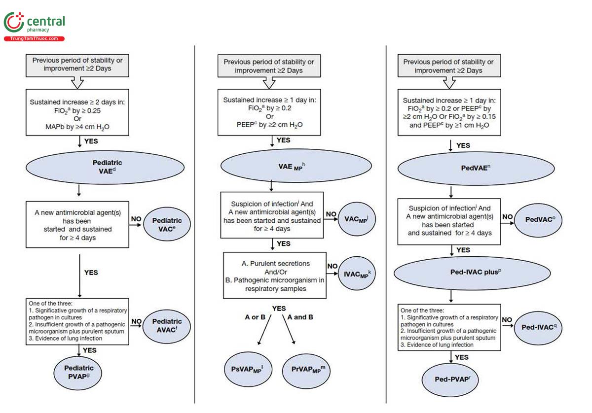 Hình 2 Định nghĩa VAE CDC nhi khoa và các đề xuất sửa đổi nhi khoa khác. anồng độ oxy hít vào; bÁp lực đường thở trung bình; cÁp lực dương cuối thì thở ra; dVAE nhi khoa (PedVAE): biến cố liên quan đến máy thở ở trẻ em; eVAC nhi khoa (PedVAC): tình trạng liên quan đến máy thở ở trẻ em; fAVAC dành cho trẻ em: VAC dành cho trẻ em có sử dụng kháng sinh; gPVAP ở trẻ em: có thể mắc bệnh viêm phổi liên quan đến máy thở ở trẻ em; hVAEMP: Tiêu chí nhi khoa được sửa đổi liên quan đến sự kiện liên quan đến máy thở; iNghi ngờ nhiễm trùng: sốt (≥ 38 °C)/hạ thân nhiệt (< 36 °C) hoặc tăng bạch cầu (> 12.000 tế bào/mL)/giảm bạch cầu (< 4000 tế bào/mL); jVAC MP: Tiêu chí nhi khoa được sửa đổi về tình trạng liên quan đến máy thở; kIVACMP: Tiêu chí nhi khoa sửa đổi về biến chứng liên quan đến máy thở liên quan đến nhiễm trùng; lPsVAPMP: Tiêu chí nhi khoa có thể sửa đổi về Viêm phổi liên quan đến máy thở; mPrVAPMP: Tiêu chí nhi khoa được điều chỉnh về bệnh viêm phổi liên quan đến máy thở có thể xảy ra; nPedVAE: Sự kiện liên quan đến máy thở ở trẻ em; oPedVAC: VAC liên quan đến máy thở trẻ em; pPedIVAC-plus: Biến chứng cộng thêm liên quan đến máy thở liên quan đến nhiễm trùng; qPed-IVAC: Biến chứng liên quan đến máy thở liên quan đến nhiễm trùng ở trẻ em; rPedPVAP: Viêm phổi có thể liên quan đến máy thở ở trẻ em. 