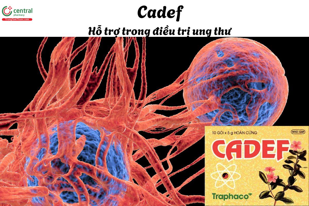 Thuốc Cadef - Tăng cường miễn dịch ở những người bị suy giảm miễn dịch