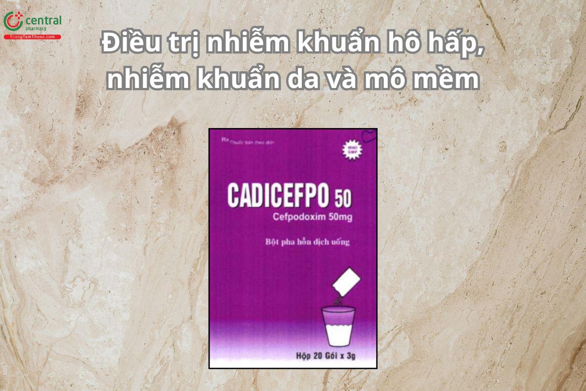 Thuốc Cadicefpo 50mg điều trị viêm phổi cộng đồng, viêm phế quản
