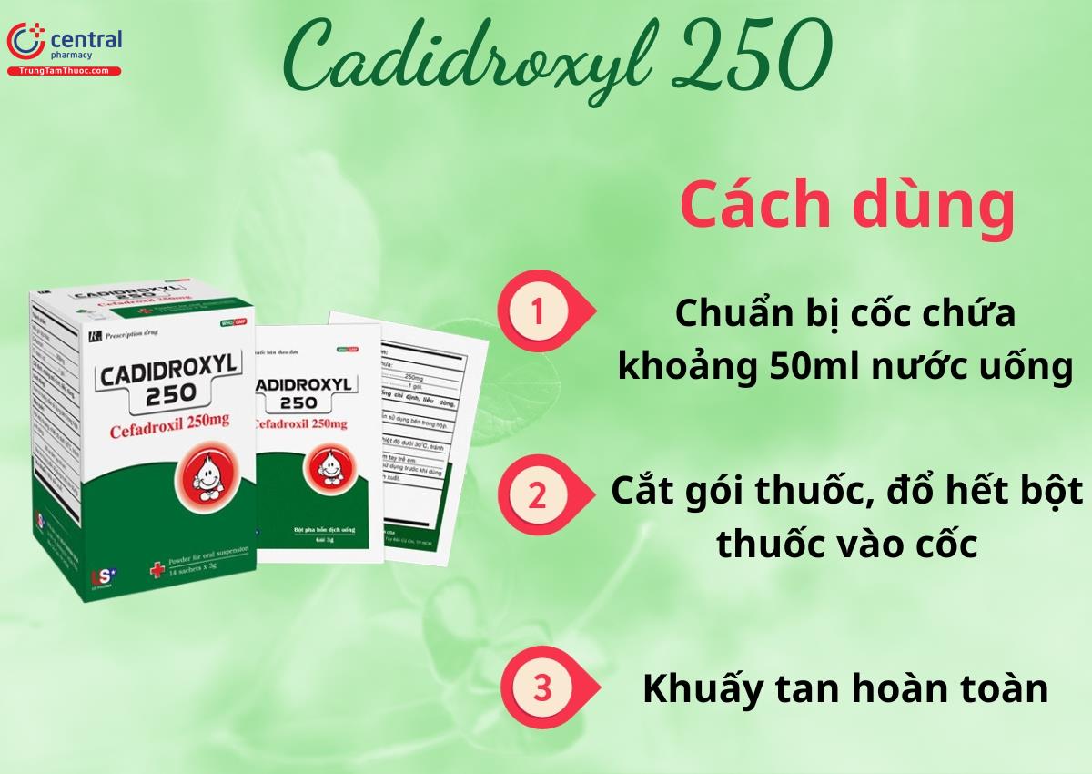 Cách dùng Cadidroxyl 250
