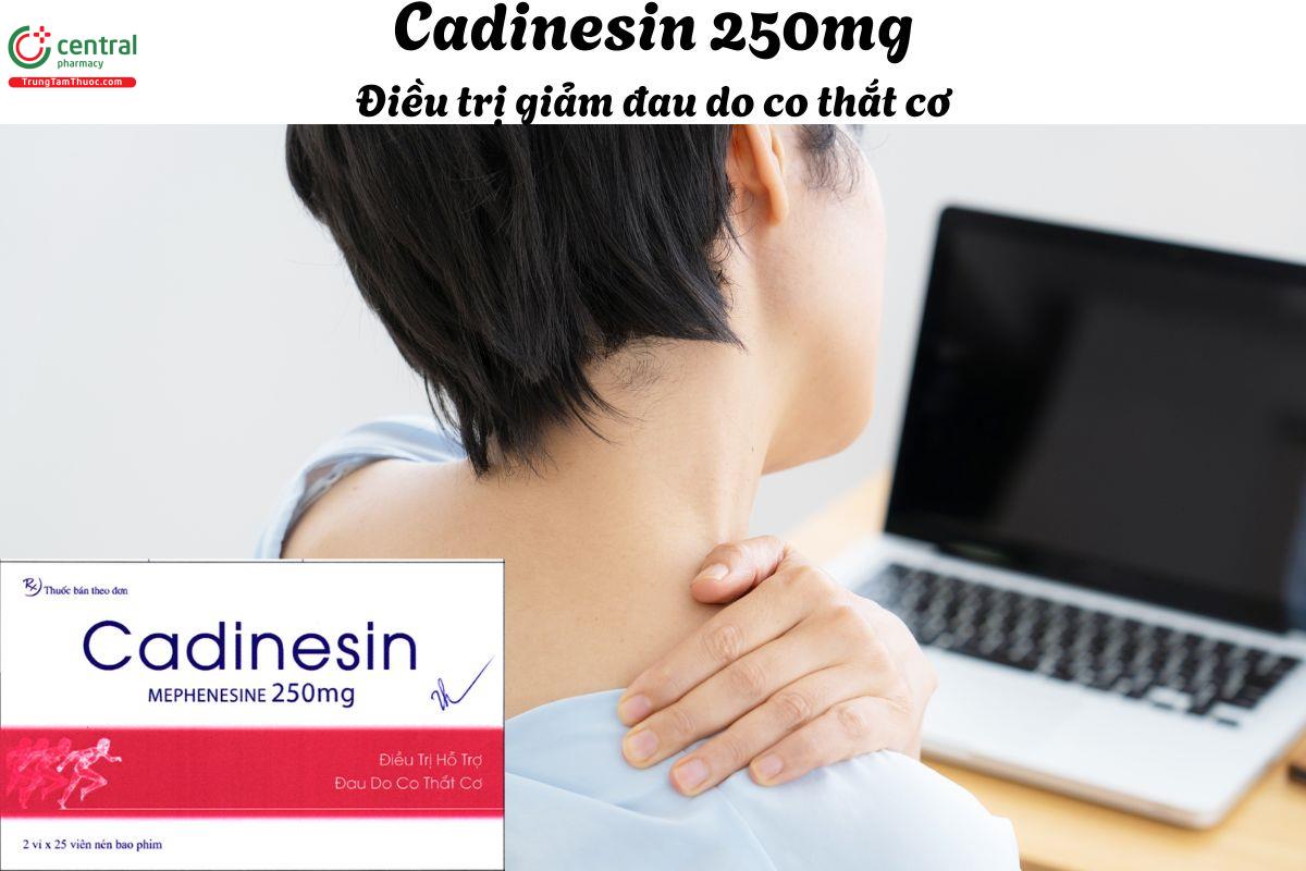 Thuốc Cadinesin 250mg - Giảm các cơn đau gây ra do co thắt cơ