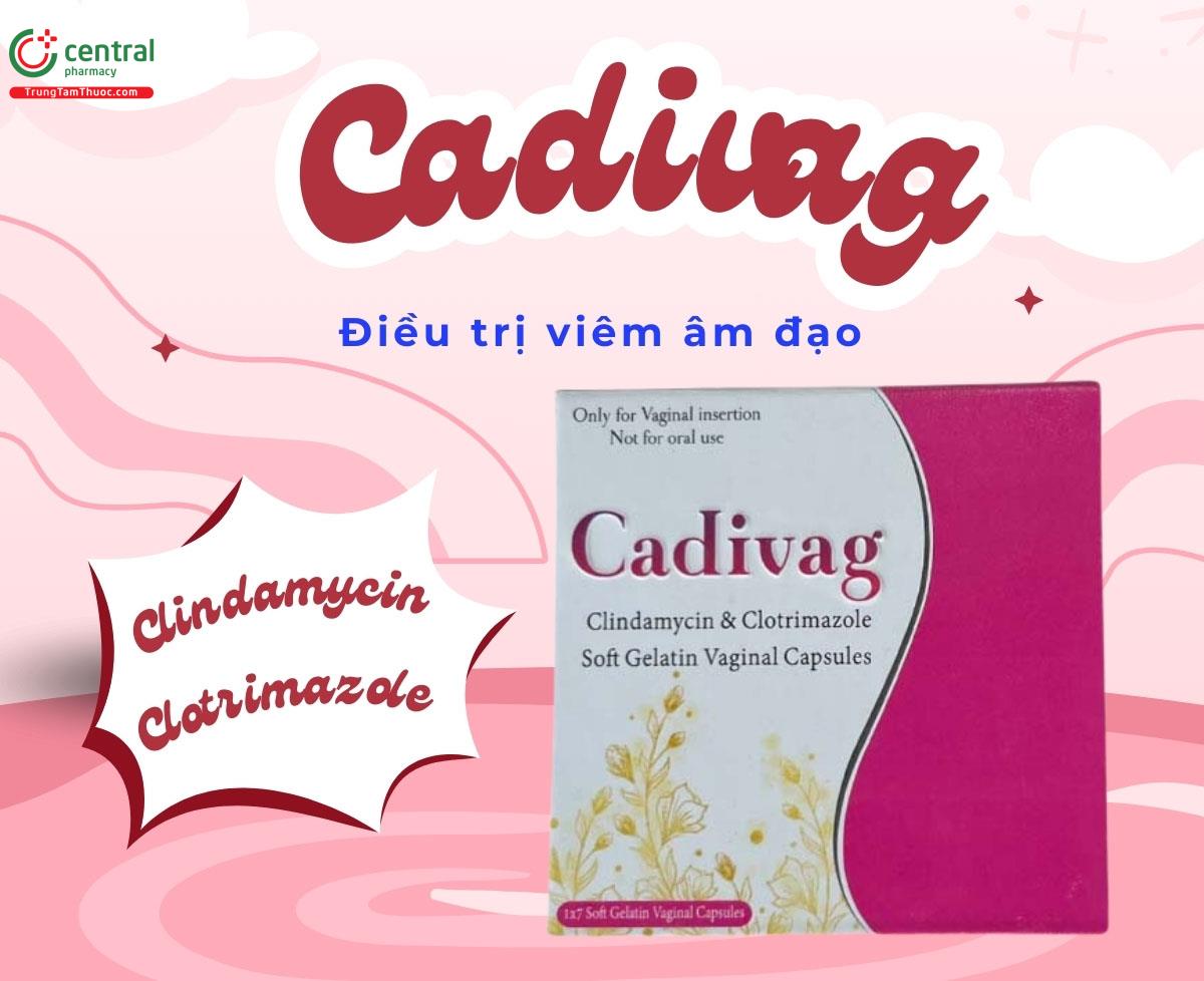 Thuốc đặt âm đạo Cadivag - Điều trị viêm âm hộ, viêm cổ tử cung