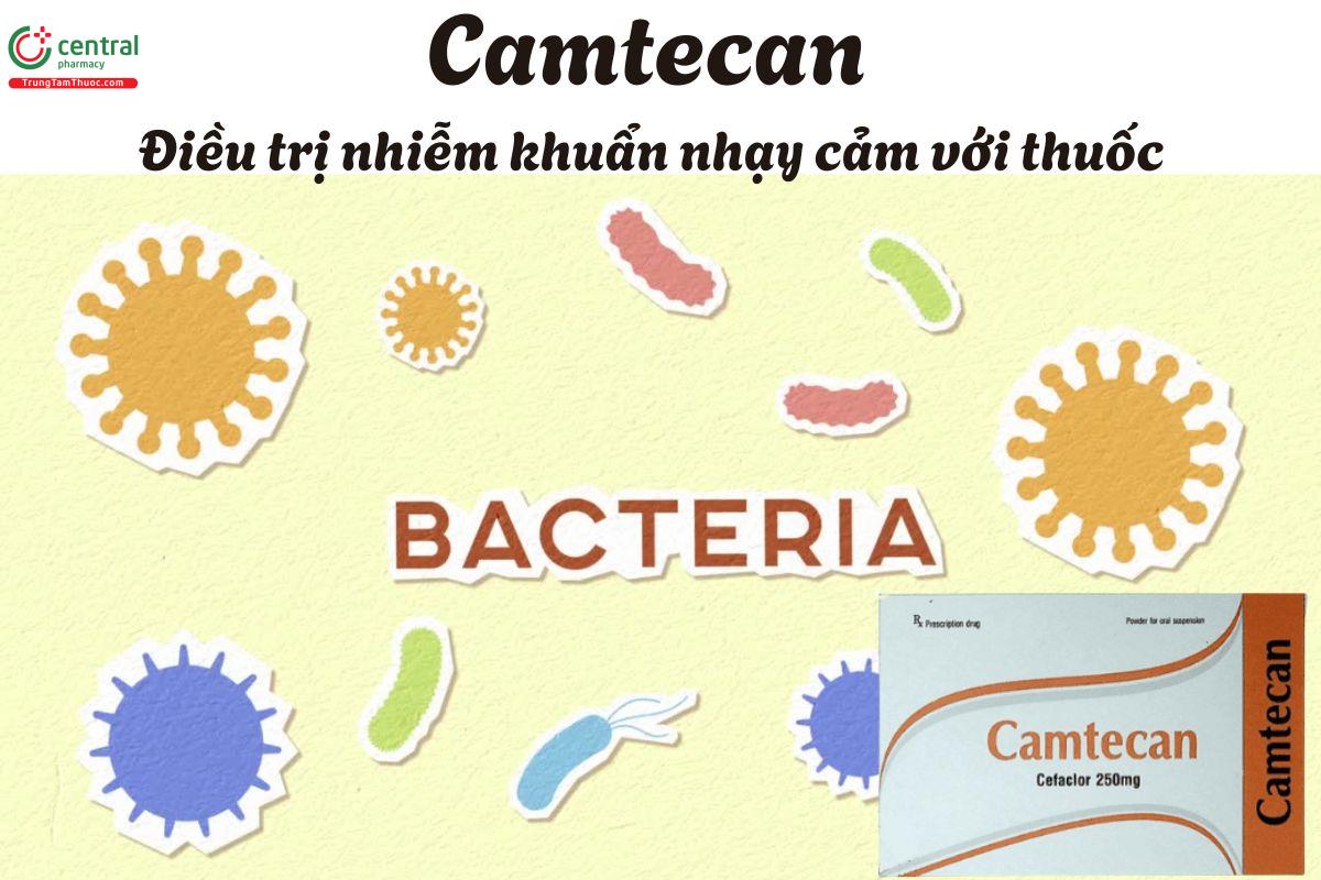 Thuốc Camtecan 250mg - Điều trị nhiễm khuẩn đường hô hấp, tiết niệu