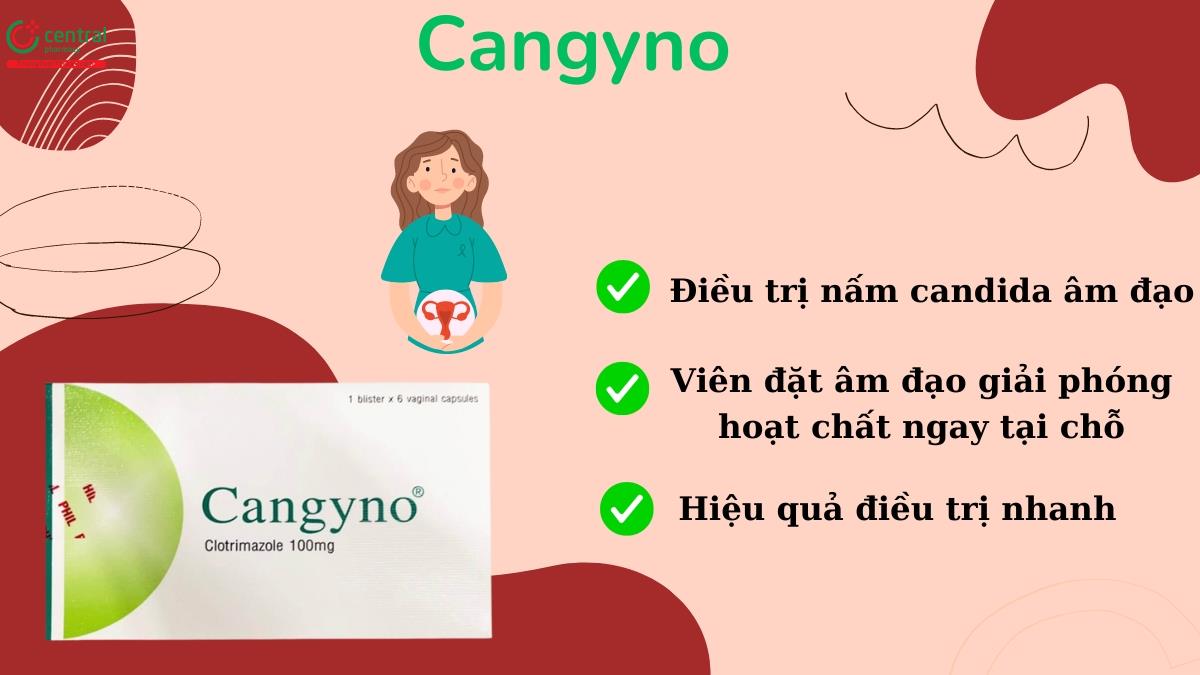 Thuốc Cangyno - Điều trị viêm nhiễm nấm Candida âm đạo hiệu quả