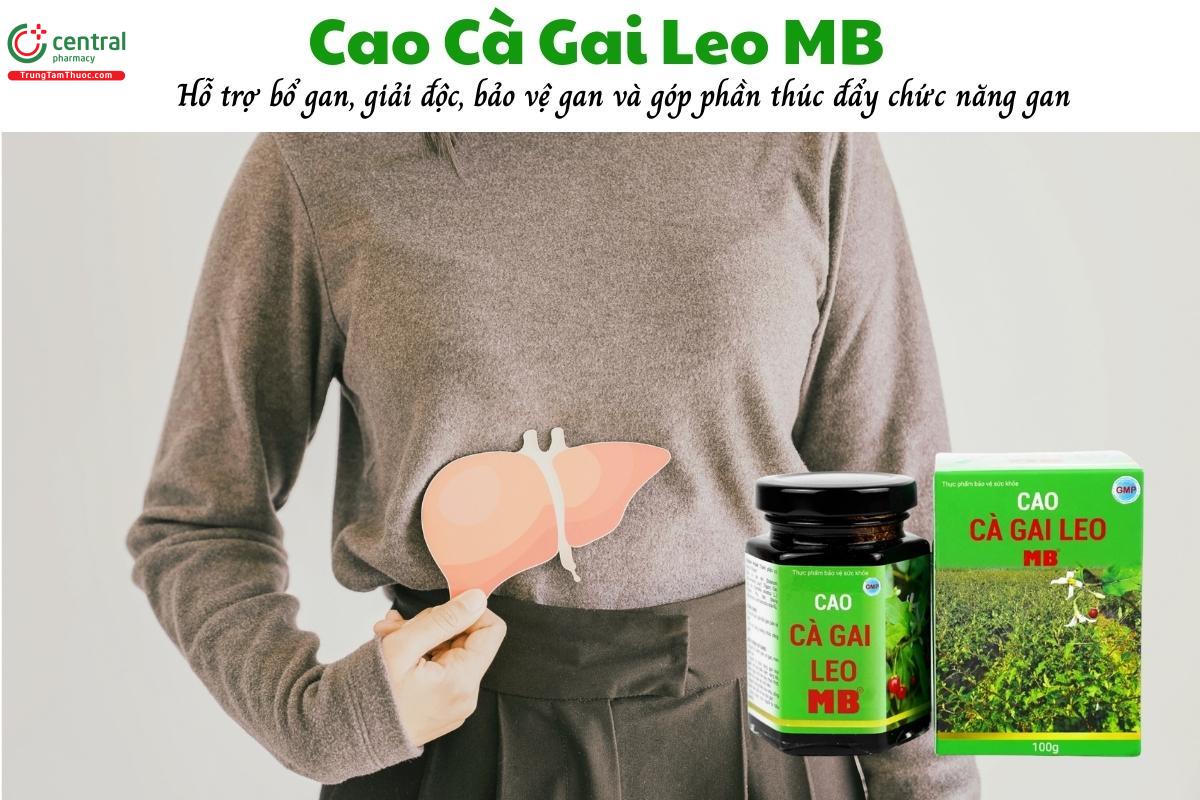 Cao Cà Gai Leo MB