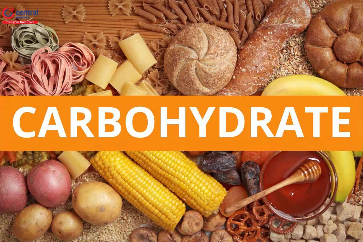 Nghiên cứu về Carbohydrate
