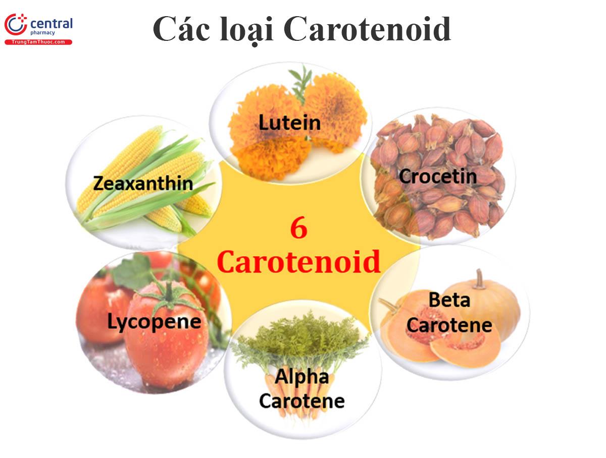 Các loại Carotenoid