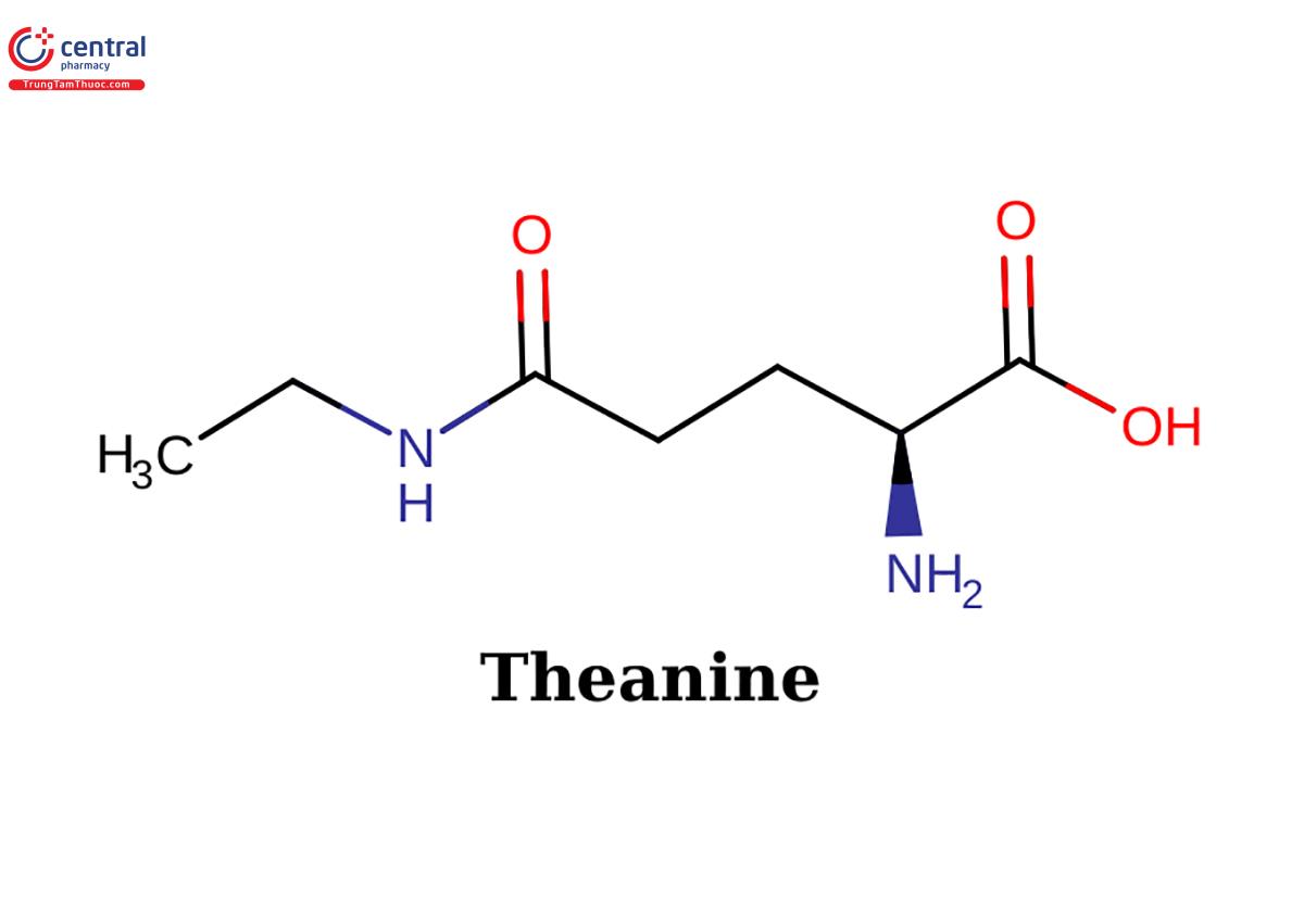 Cấu trúc Theanine
