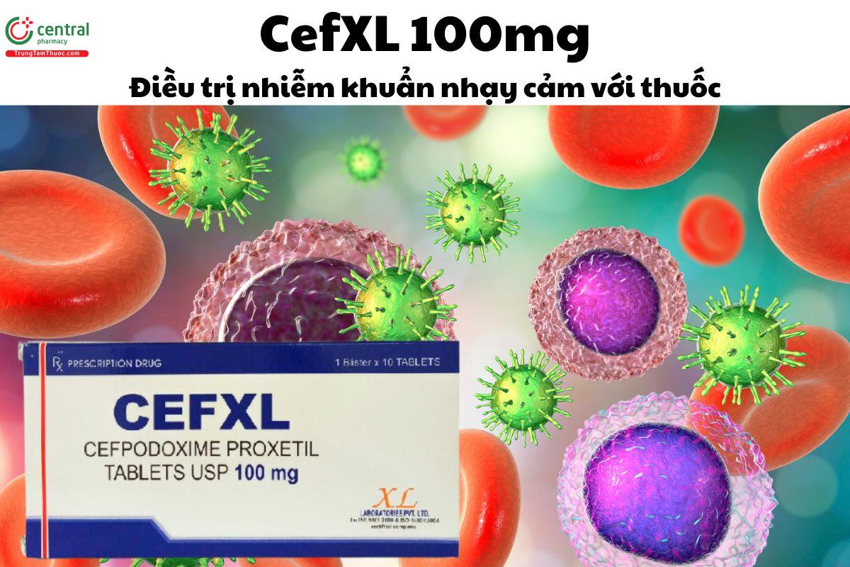 Thuốc CefXL 100mg điều trị các bệnh nhiễm khuẩn nhạy cảm với thuốc