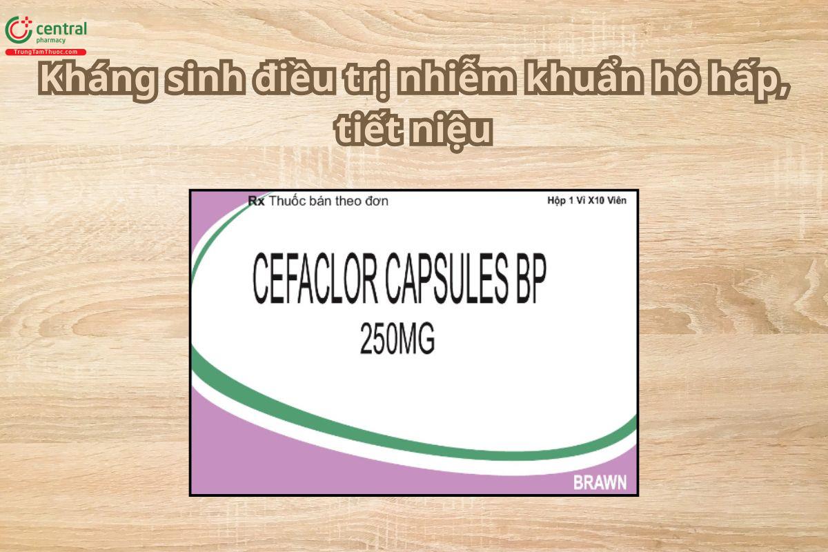 Thuốc Cefaclor Capsules BP kháng sinh điều trị nhiễm khuẩn hô hấp