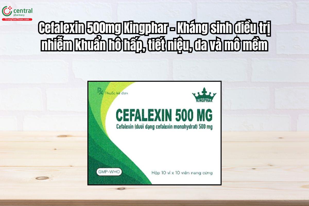 Thuốc Cefalexin 500mg Kingphar điều trị nhiễm khuẩn hô hấp, tiết niệu