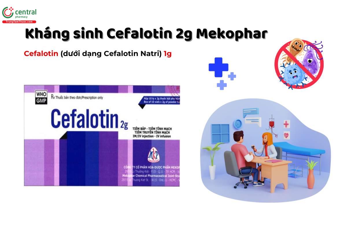 Thuốc Cefalotin 2g Mekophar điều trị các nhiễm khuẩn hiệu quả