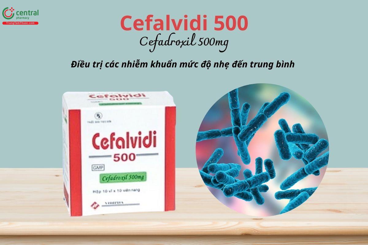 Thuốc Cefalvidi 500mg điều trị các nhiễm khuẩn mức độ nhẹ đến trung bình