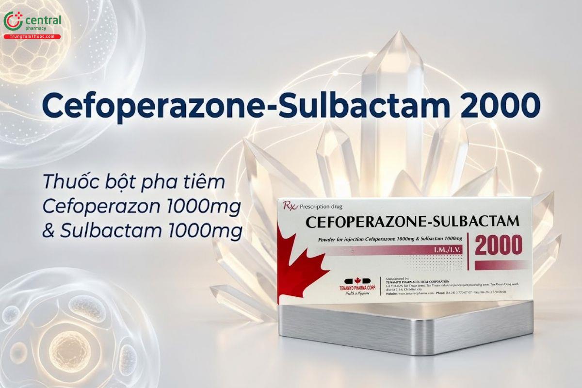 Cefoperazone-Sulbactam 2000 điều trị các bệnh nhiễm khuẩn hiệu quả