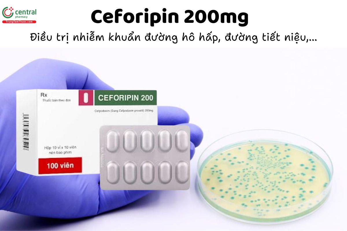 Thuốc Ceforipin 200mg - Điều trị nhiễm khuẩn đường hô hấp, đường tiết niệu,...