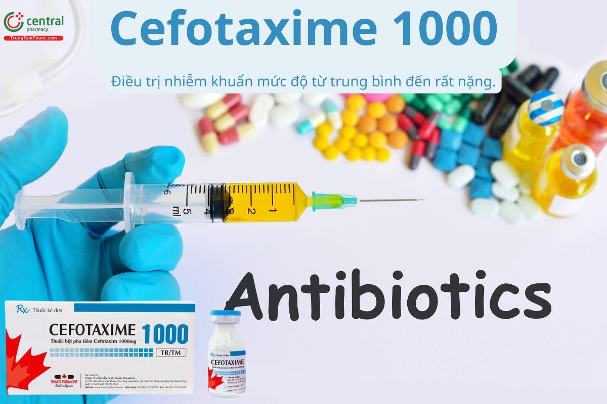 Cefotaxime 1000 điều trị nhiễm khuẩn từ trung bình đến nặng