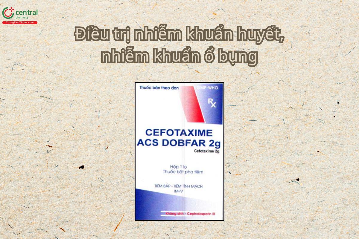 Thuốc Cefotaxime ACS Dobfar 2g điều trị áp xe não, viêm màng não