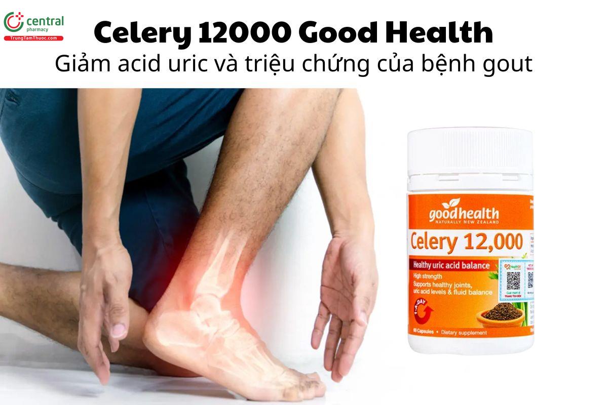 Celery 12000 Good Health - Giảm acid uric và triệu chứng của bệnh gout