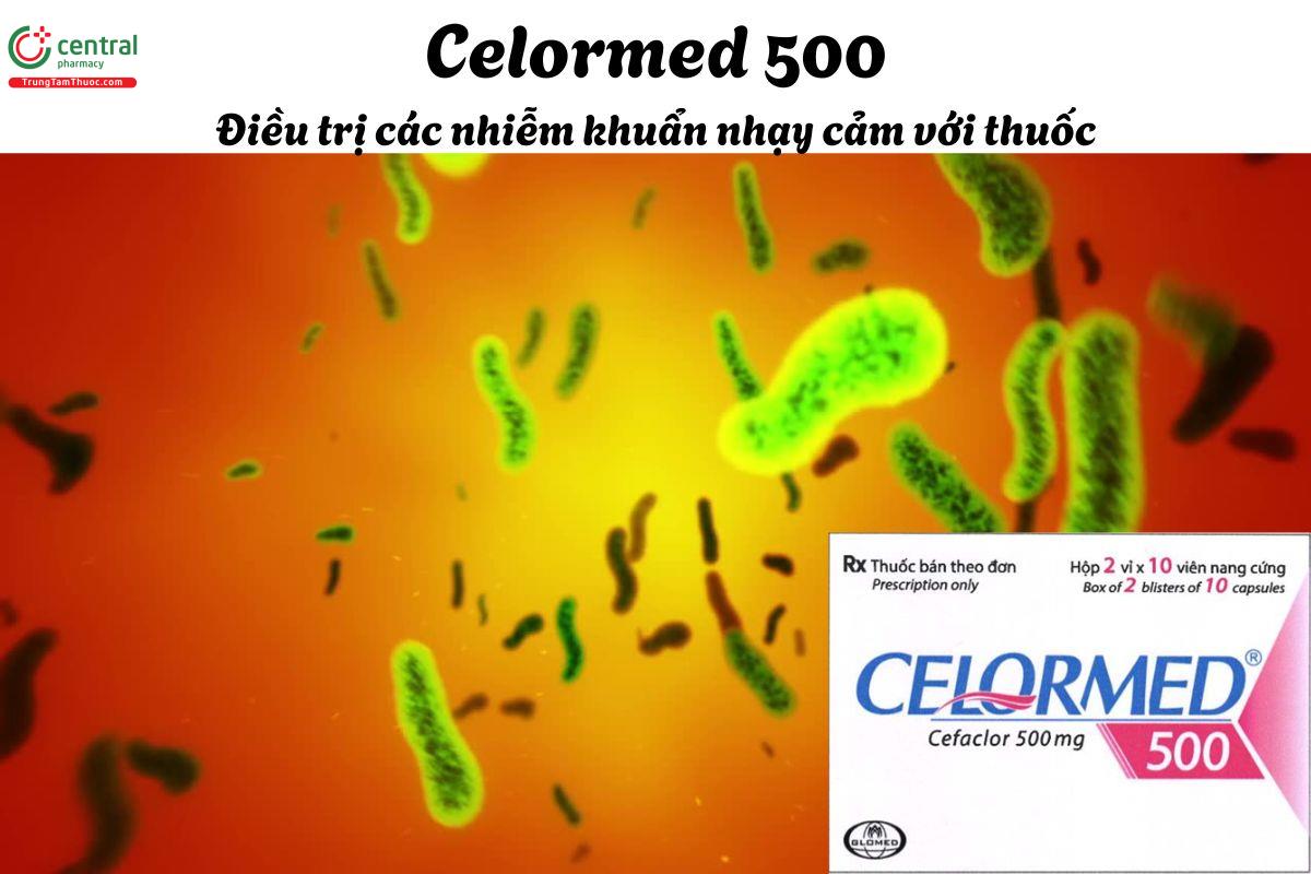 Thuốc Celormed 500 - Điều trị nhiễm khuẩn đường hô hấp, tiết niệu