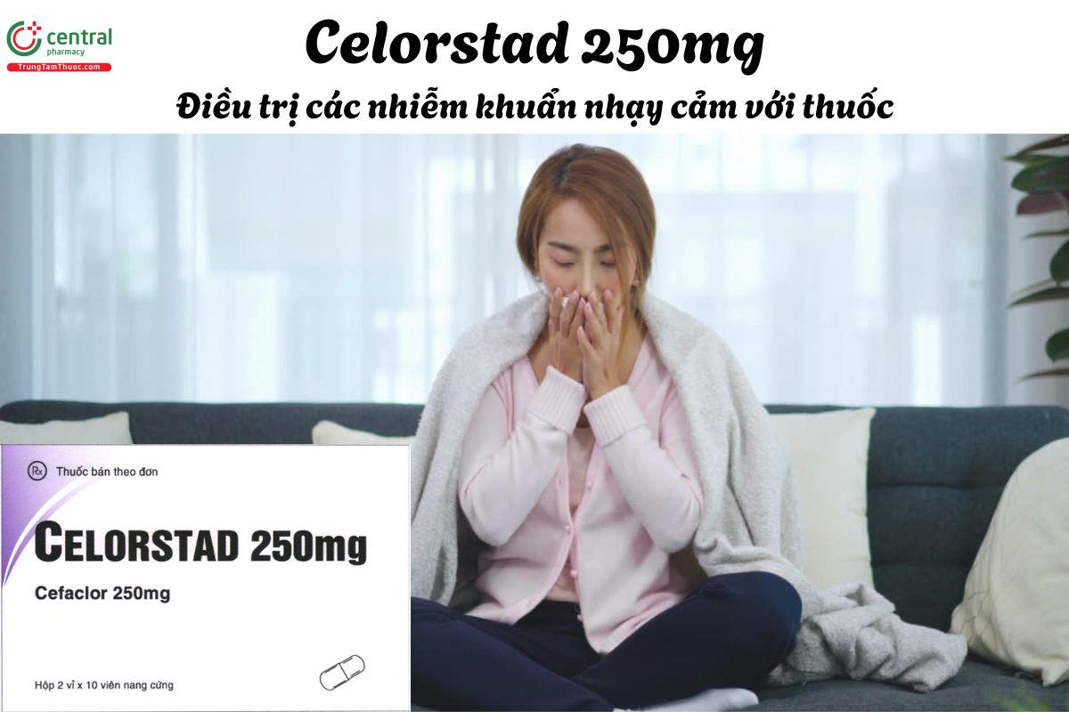 Thuốc Celorstad 250mg - Điều trị nhiễm trùng đường hô hấp, viêm tai giữa