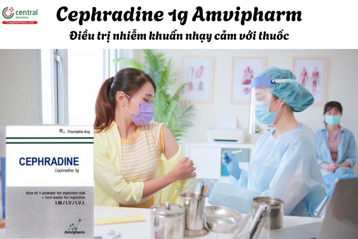 Thuốc Cephradine 1g Amvipharm - Điều trị nhiễm khuẩn da, mô mềm