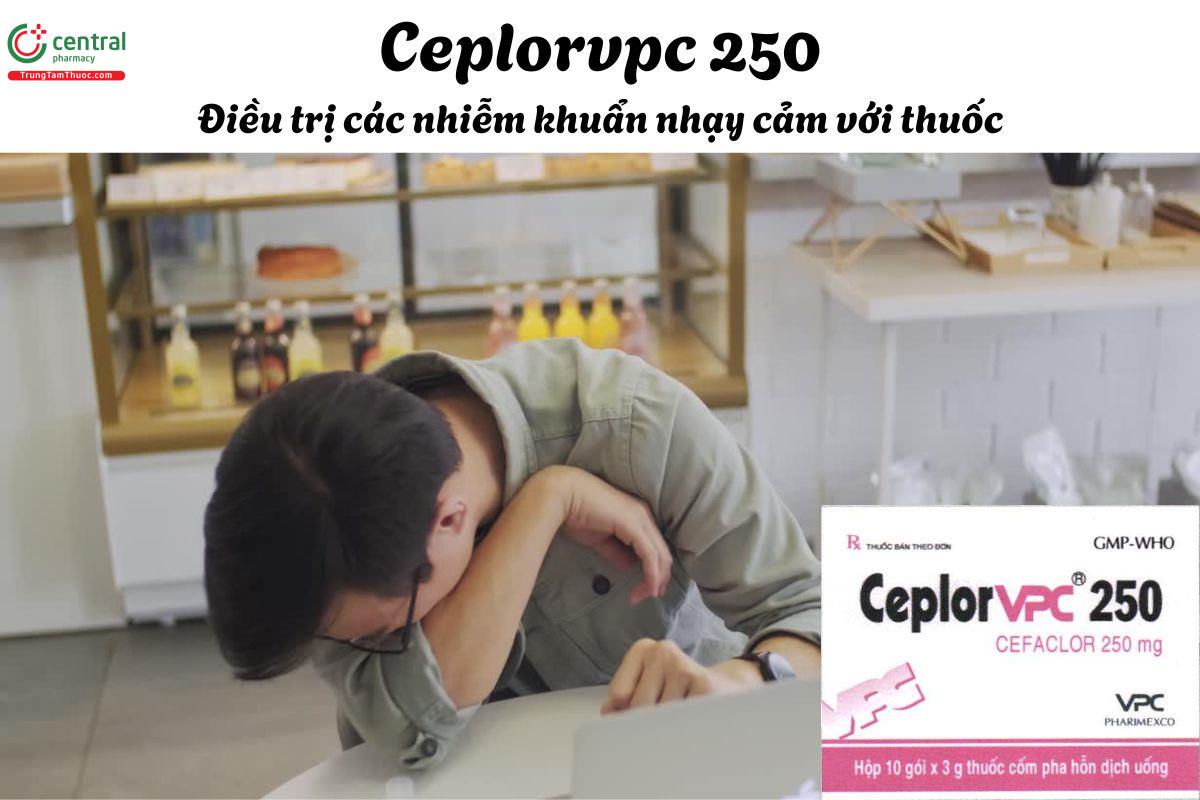 Thuốc Ceplorvpc 250 - Điều trị viêm tai giữa cấp, viêm xoang cấp