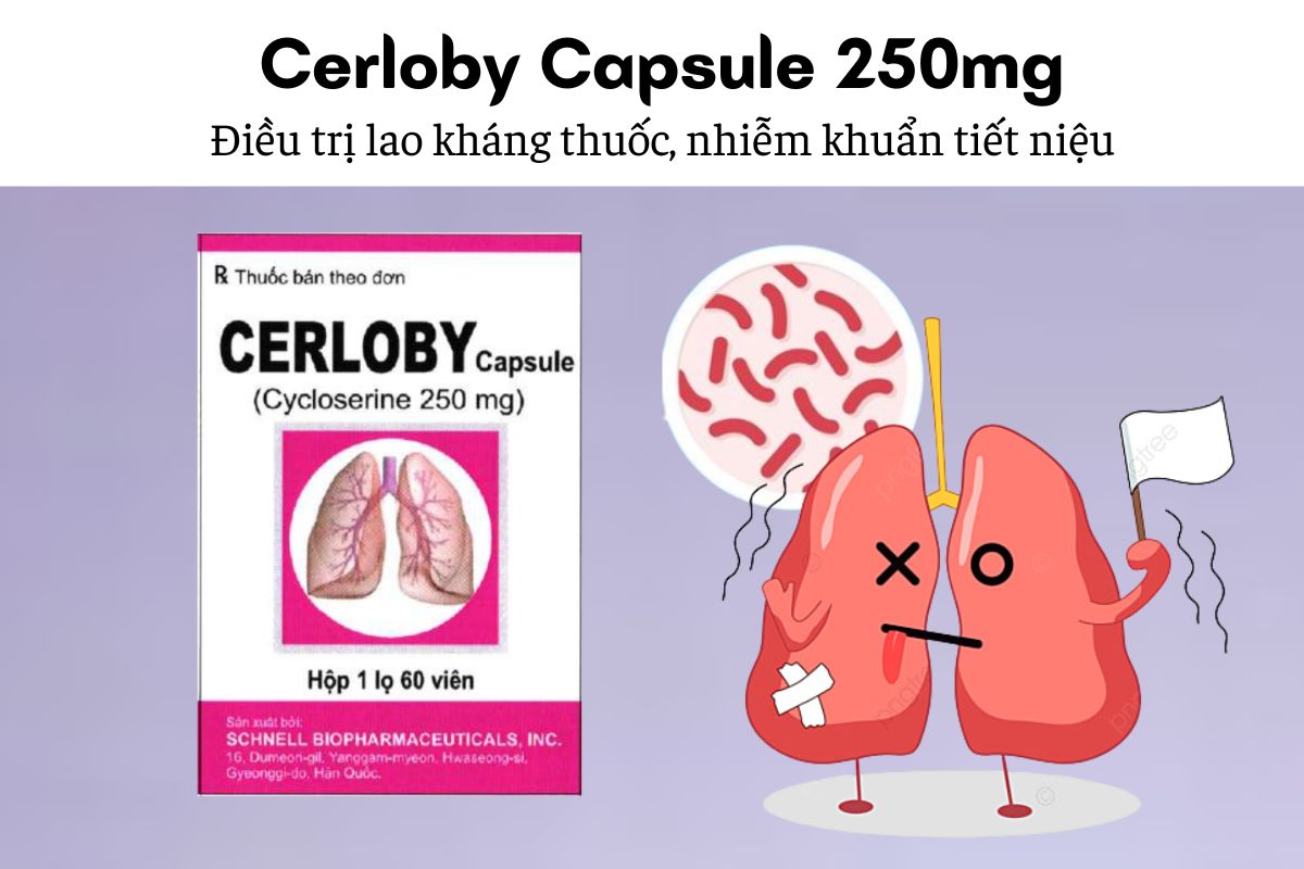 Thuốc Cerloby Capsule 250mg - Điều trị lao kháng thuốc, nhiễm khuẩn tiết niệu