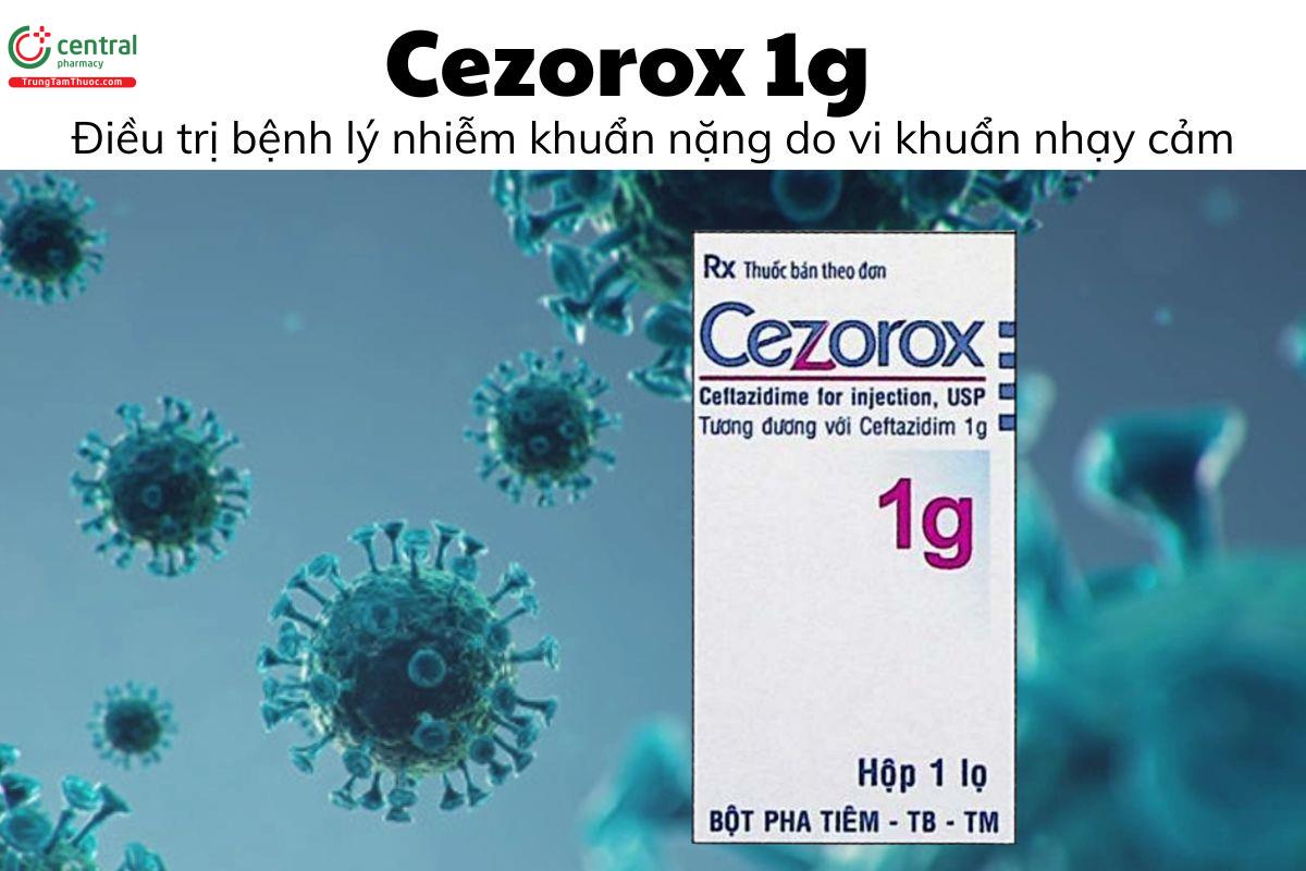 Thuốc Cezorox 1g - Điều trị bệnh lý nhiễm khuẩn nặng do vi khuẩn nhạy cảm