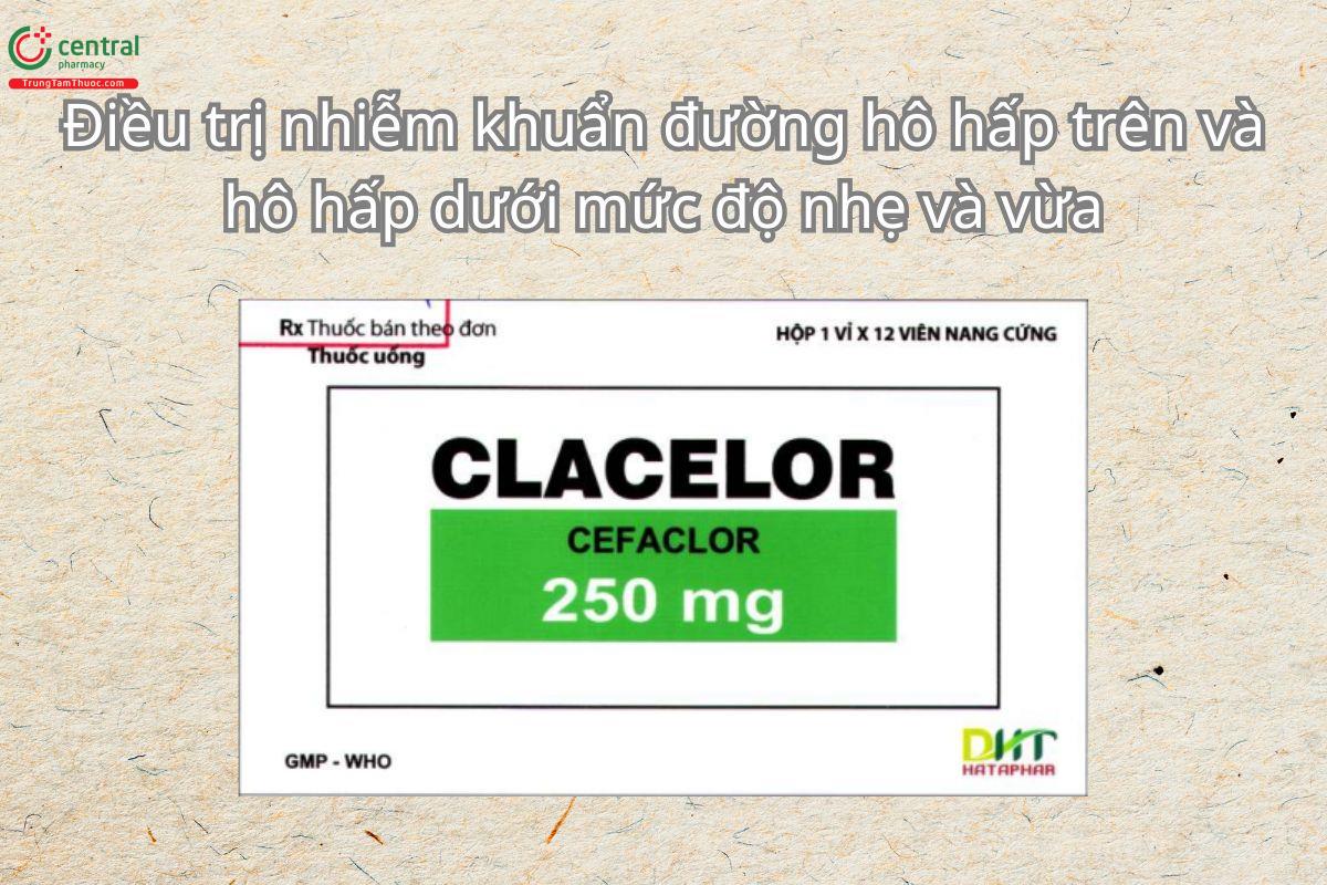 Thuốc Clacelor 250mg điều trị viêm tai giữa cấp, viêm xoang cấp