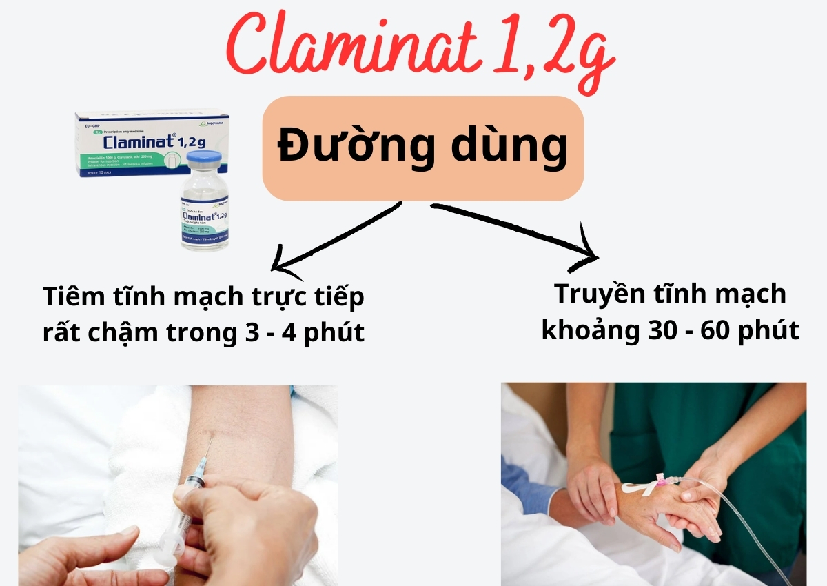 Đường dùng Claminat 1,2g 