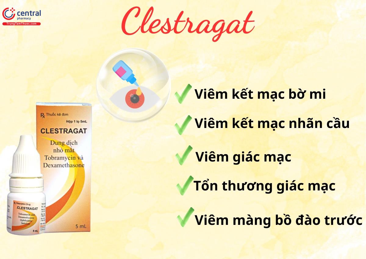 Thuốc Clestragat - Điều trị tại chỗ tình trạng nhiễm khuẩn mắt
