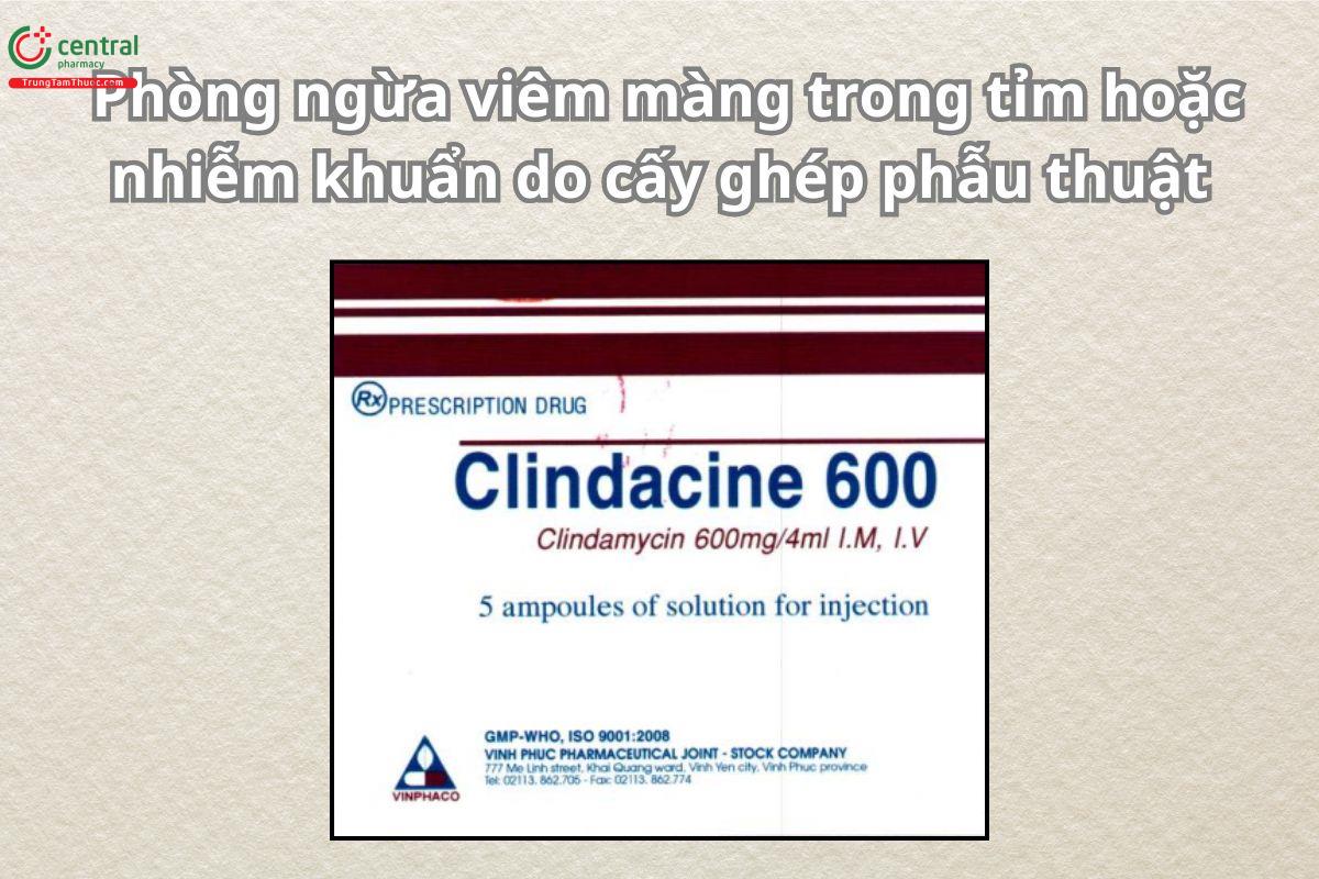 Clindacine 600 được sử dụng để điều trị các trường hợp nhiễm khuẩn do vi khuẩn còn nhạy cảm