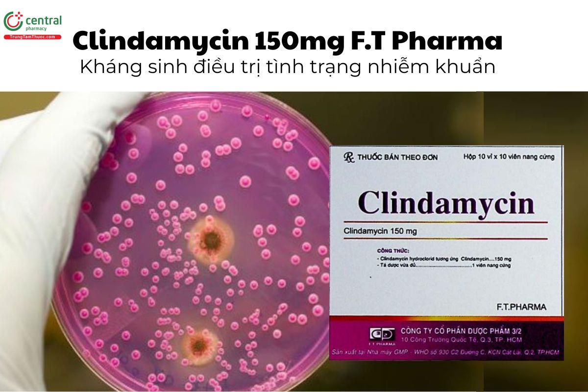 Thuốc Clindamycin 150mg F.T Pharma - Kháng sinh điều trị nhiễm khuẩn