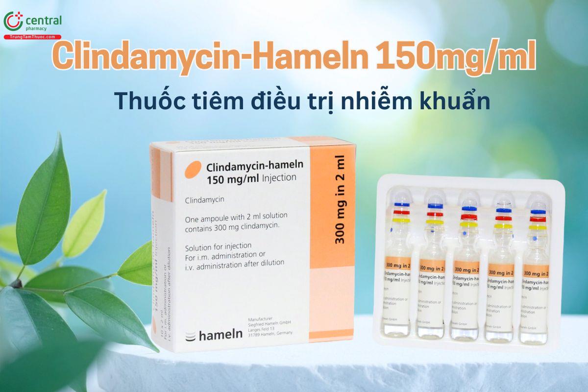 Clindamycin-Hameln 150mg/ml điều trị nhiễm khuẩn từ trung bình đến nặng