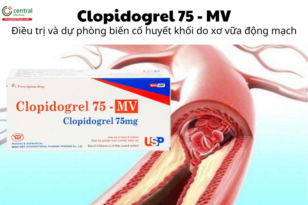 Thuốc Clopidogrel 75 - MV - Điều trị và dự phòng biến cố huyết khối do xơ vữa động mạch