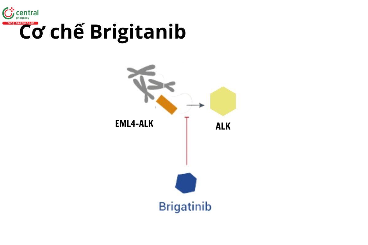 Cơ chế Brigitanib