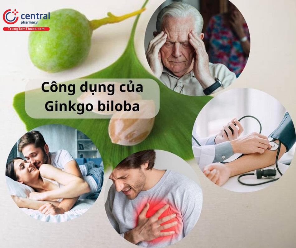 Tác dụng của Ginkgo Biloba 