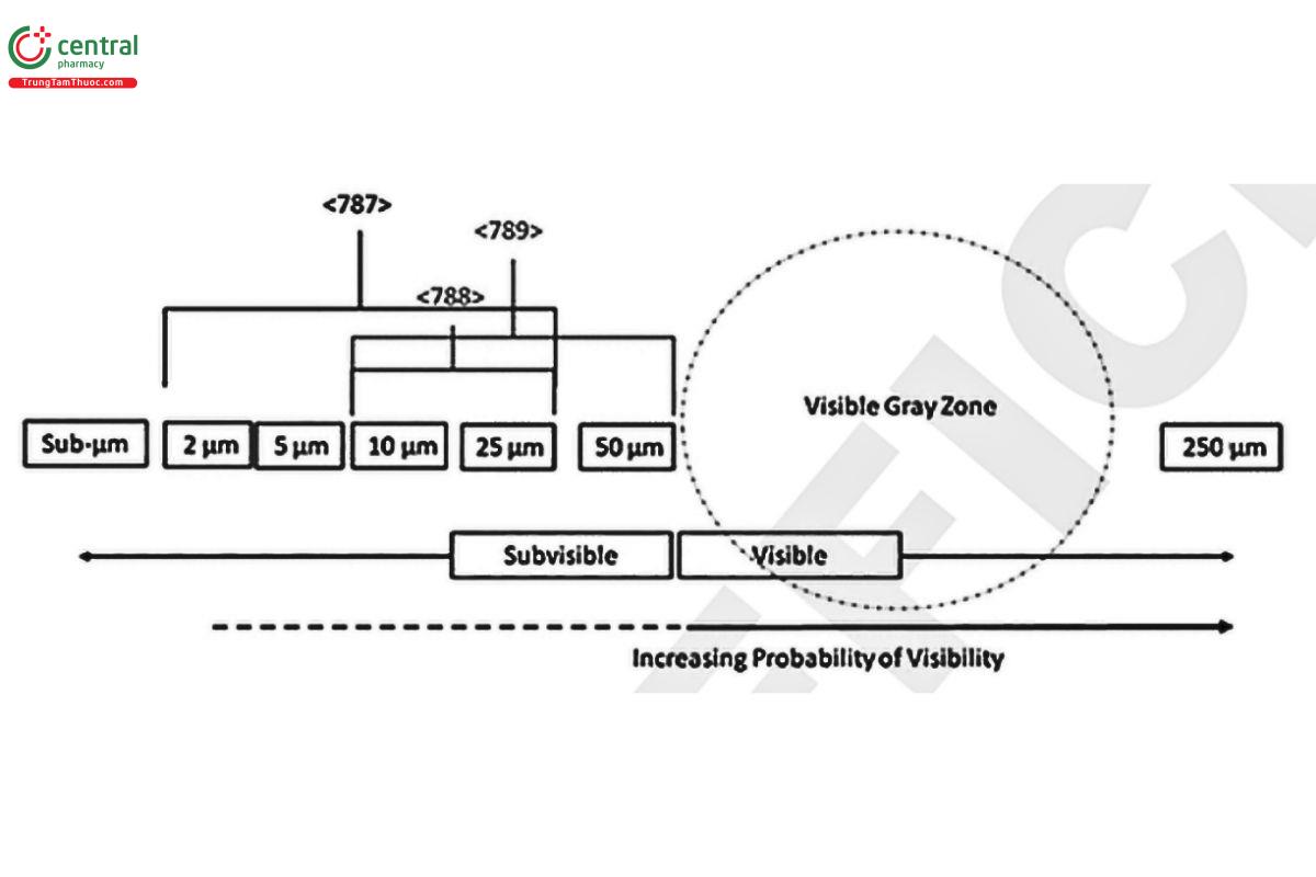 Figure 1. Continuum of particle sizes from subvisible through visible, indicating the scope of (787), (788), and (789)