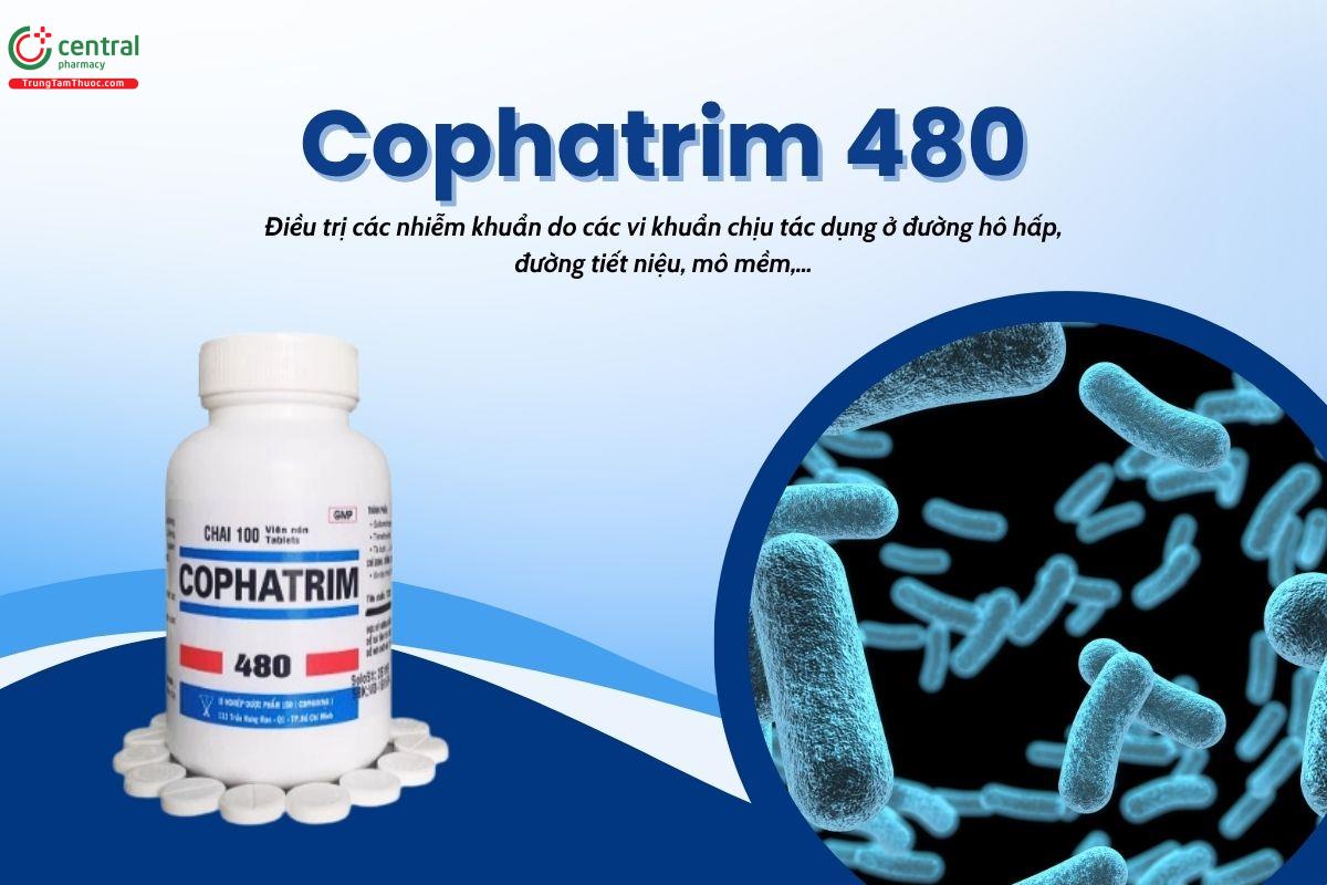 Thuốc Cophatrim 480 điều trị nhiễm khuẩn đường hô hấp, tiết niệu