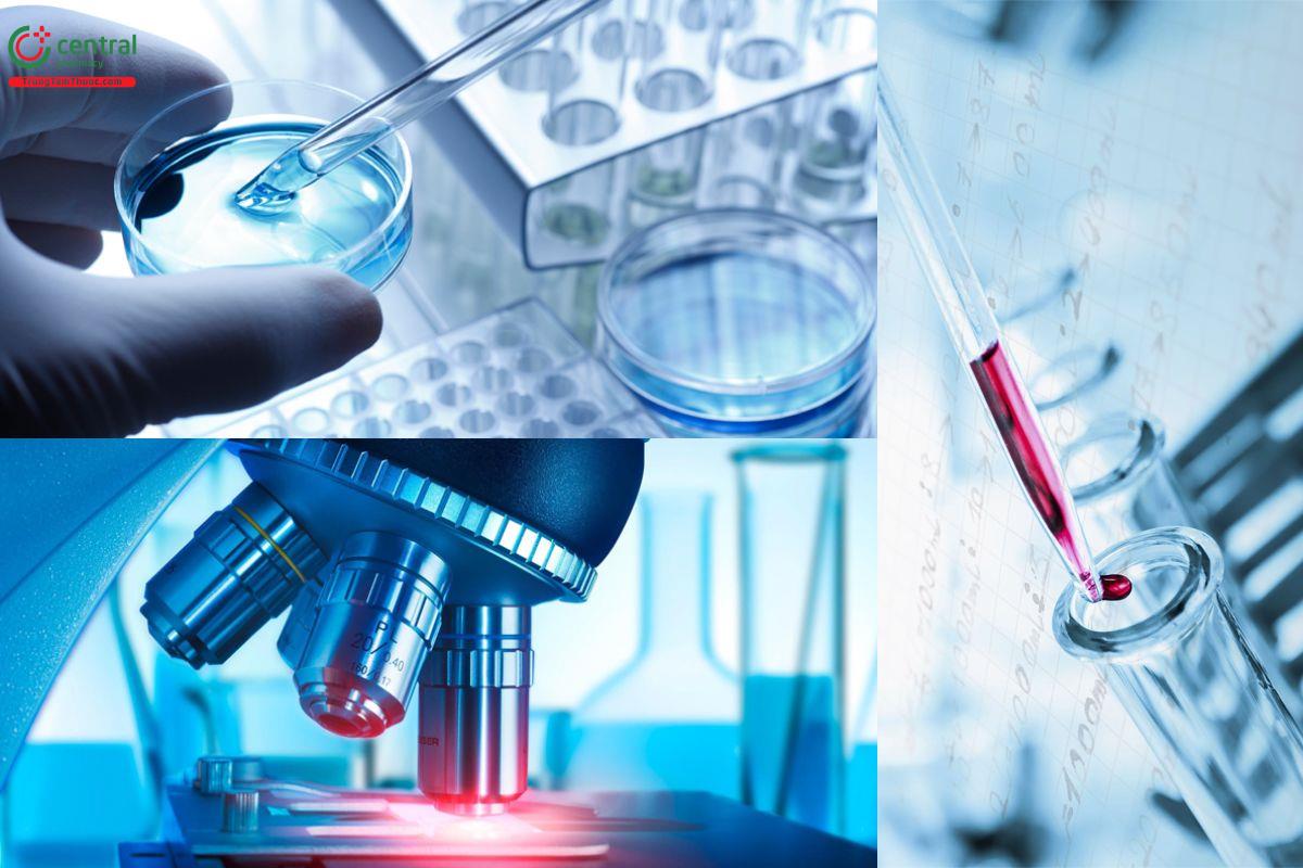 Cosmic Pharmaceutical Inc. - Thương hiệu dược phẩm uy tín và chất lượng