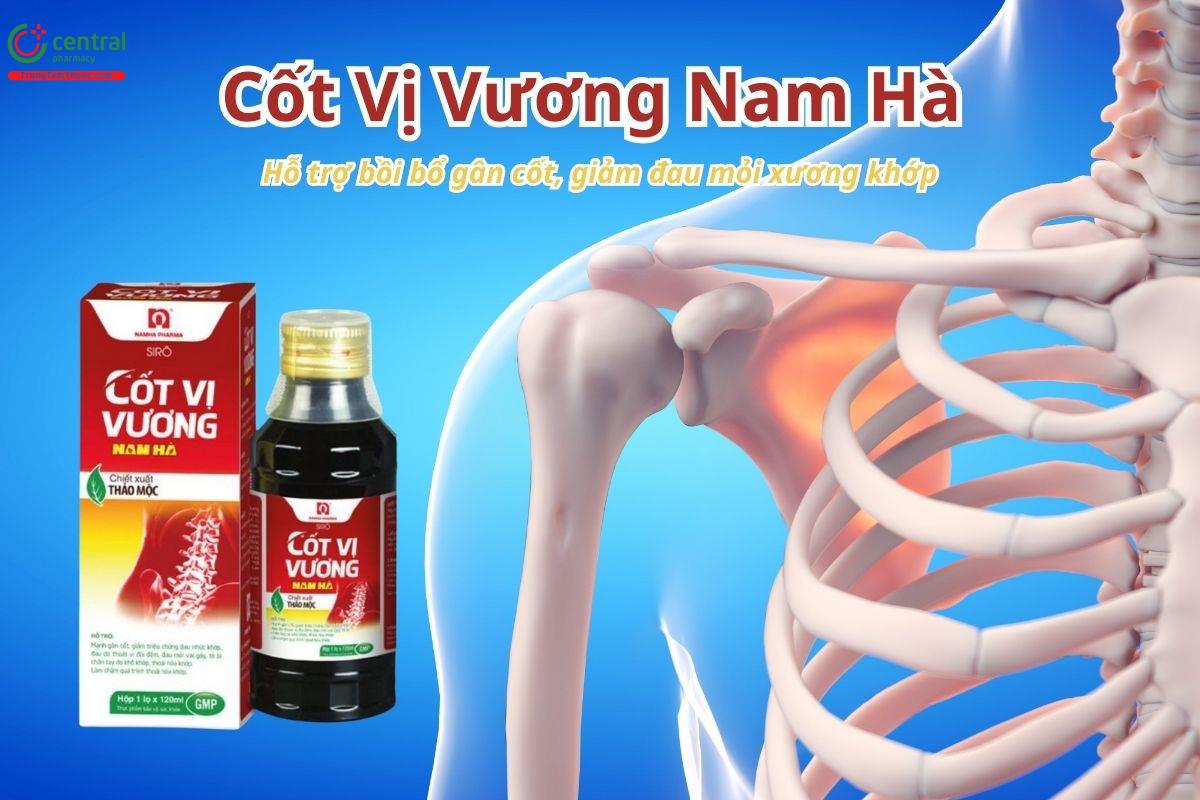 Cốt Vị Vương Nam Hà hỗ trợ bồi bổ gân cốt, giảm đau mỏi xương khớp