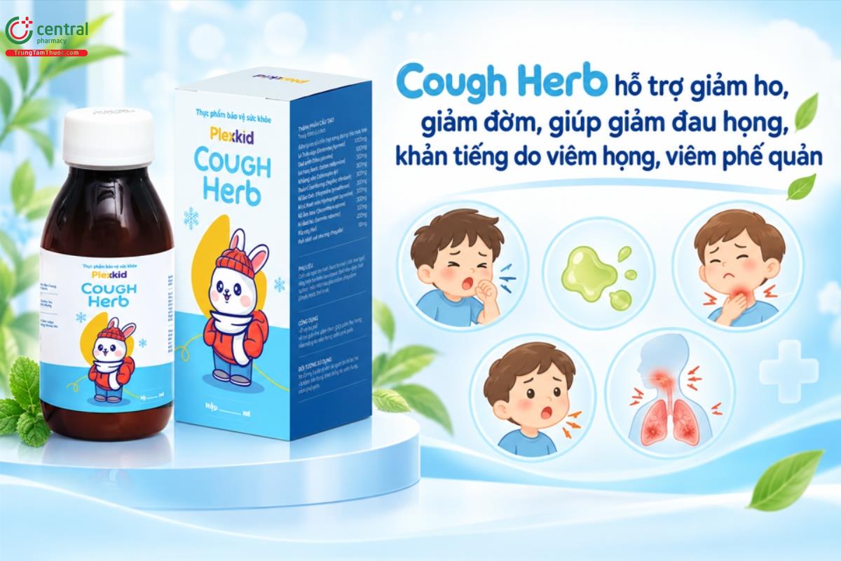 Cough Herb hỗ trợ giảm ho, giảm đờm, giúp giảm đau họng, khản tiếng do viêm họng, viêm phế quản.