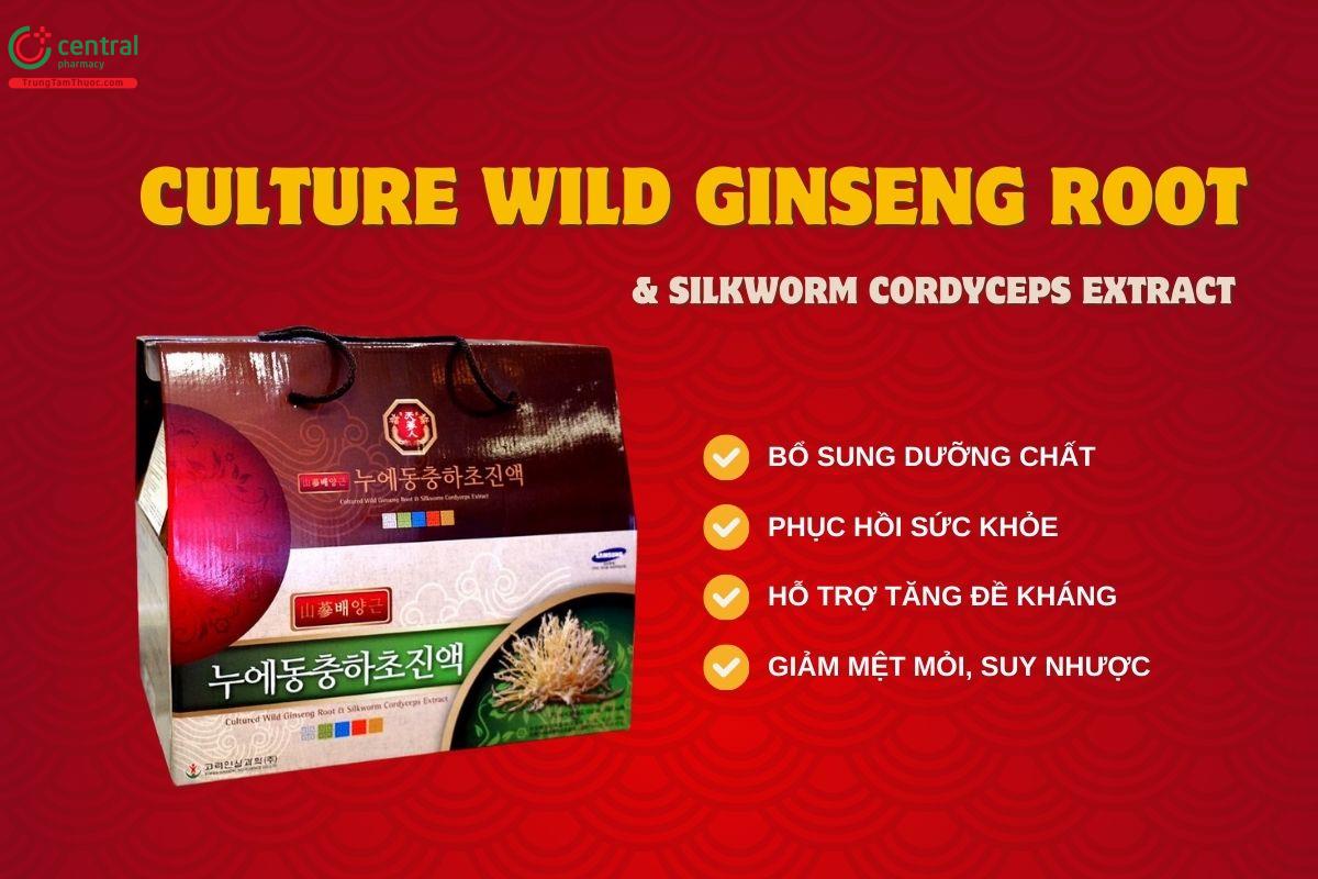 Culture Wild Ginseng Root & Silkworm Cordyceps Extract hỗ trợ tăng cường sức khỏe