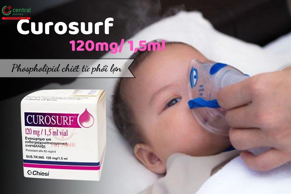 Thuốc Curosurf 120mg/1,5ml (Phospholipid chiết từ phổi lợn) điều trị suy hô hấp ở trẻ em