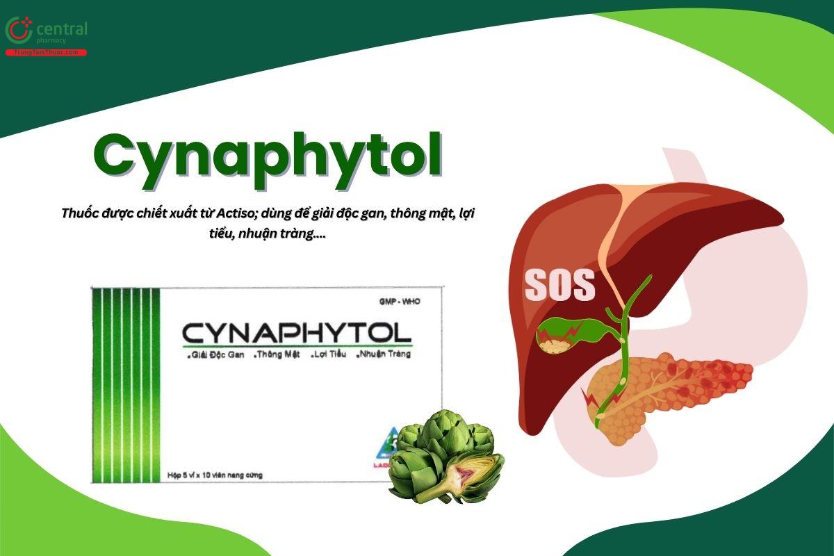 Thuốc Cynaphytol 300mg giải độc gan, thông mật, lợi tiểu, nhuận tràng