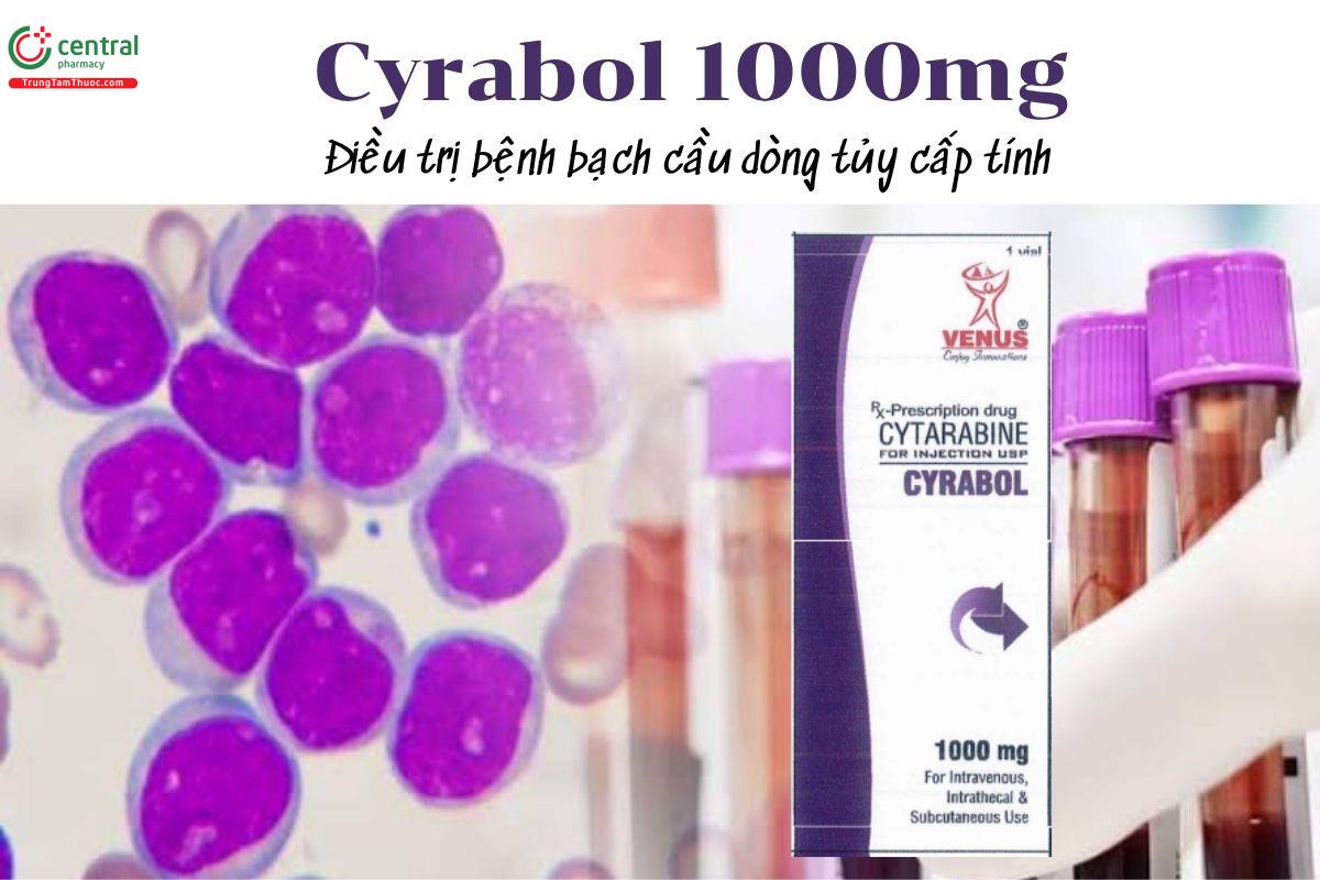 Thuốc Cyrabol 1000mg - Điều trị bệnh bạch cầu dòng tủy cấp tính