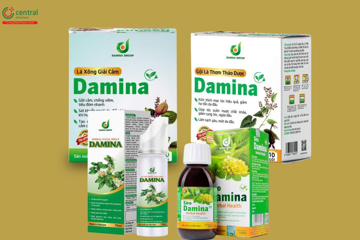 CÔNG TY CỔ PHẦN TẬP ĐOÀN DAMINA đến từ Việt Nam